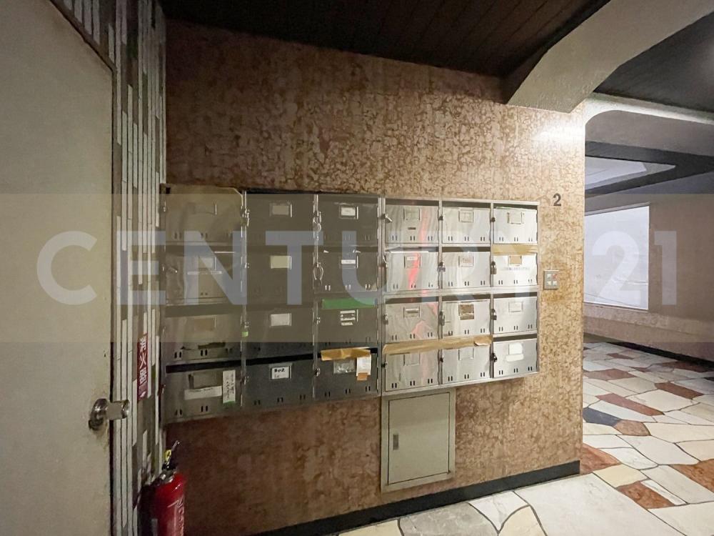 �y���̑����L�����z�@