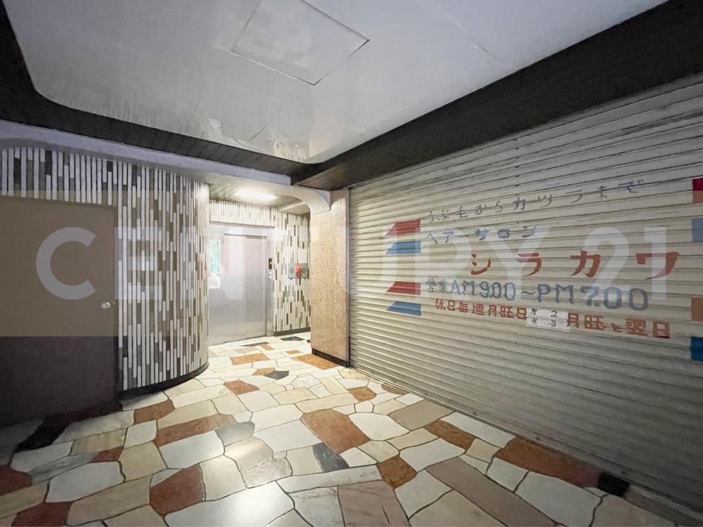 �y���̑����L�����z�@