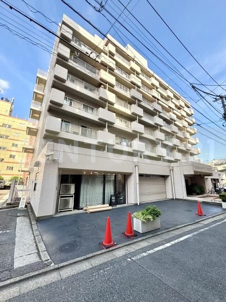 ���a�썑���R�[�v�y�m�r�� �����O��