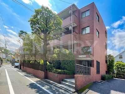 �ڔ��R���R���h �����O��