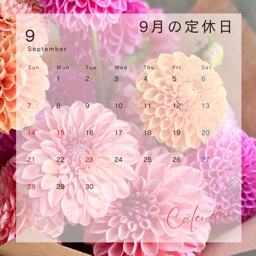 雑司が谷・目白・池袋の賃貸マンション・不動産ならセンチュリー21パキラハウス 定休日のお知らせ