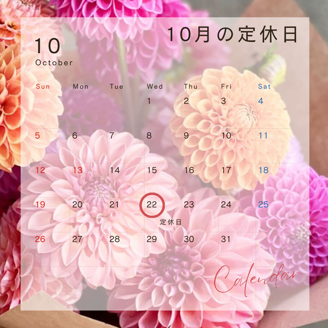 雑司が谷・目白・池袋の賃貸マンション・不動産ならセンチュリー21パキラハウス 定休日のお知らせ