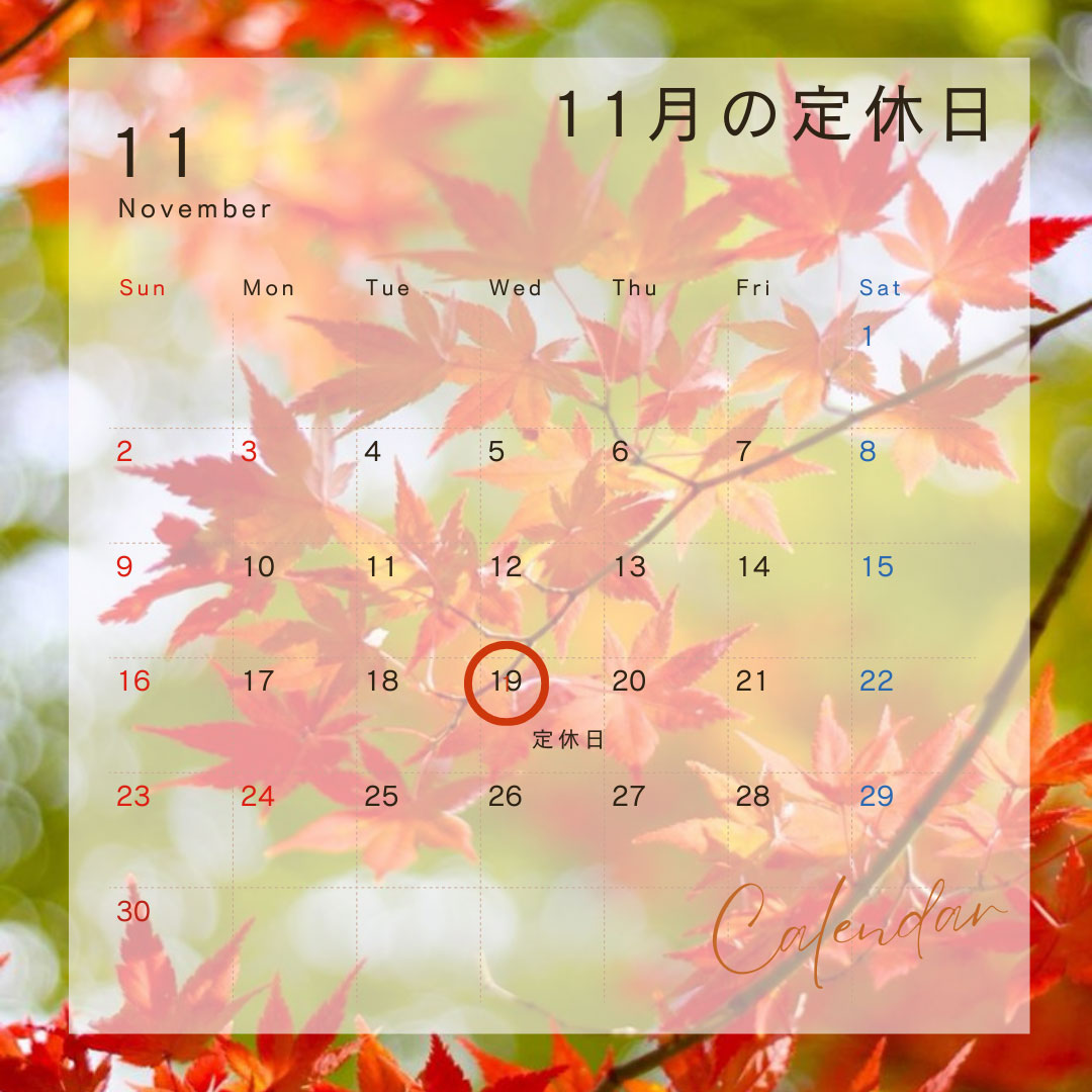 定休日のお知らせ 雑司ヶ谷 雑司が谷 目白 池袋 不動産ならセンチュリー21パキラハウス 豊島区 文京区 新宿区 不動産 賃貸 分譲 賃貸マンション 新築マンション 中古マンション 一戸建て 駐車場 貸しビル オフィスビル テナント