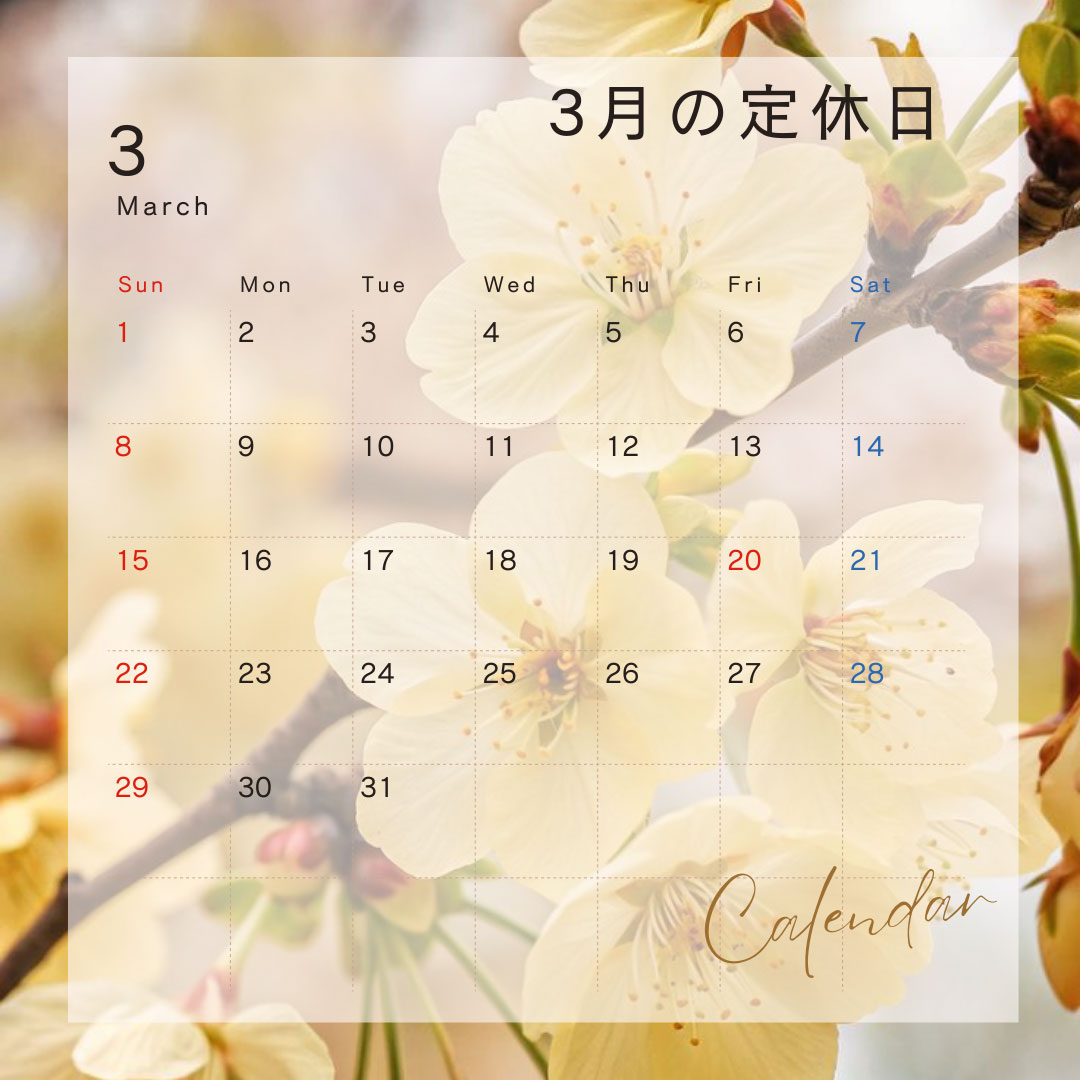 雑司が谷・目白・池袋の賃貸マンション・不動産ならセンチュリー21パキラハウス 定休日のお知らせ