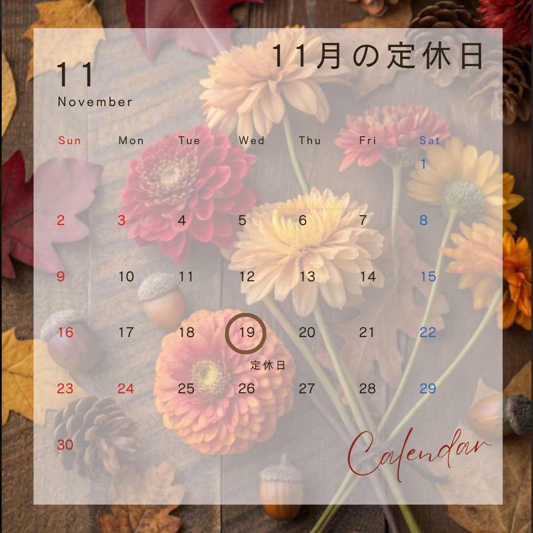 定休日のお知らせ 雑司ヶ谷 雑司が谷 目白 池袋 不動産ならセンチュリー21パキラハウス 豊島区 文京区 新宿区 不動産 賃貸 分譲 賃貸マンション 新築マンション 中古マンション 一戸建て 駐車場 貸しビル オフィスビル テナント