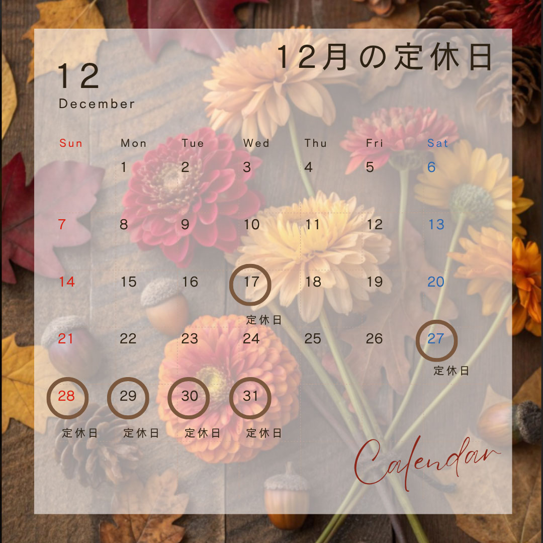 定休日のお知らせ 雑司ヶ谷 雑司が谷 目白 池袋 不動産ならセンチュリー21パキラハウス 豊島区 文京区 新宿区 不動産 賃貸 分譲 賃貸マンション 新築マンション 中古マンション 一戸建て 駐車場 貸しビル オフィスビル テナント