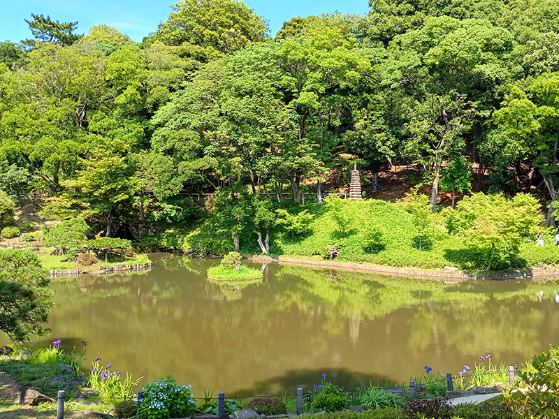 肥後細川庭園 四季を楽しむ 東京庭園 日本庭園 歴史散策 東京散歩 庭園巡り 東京観光 都内散歩 おでかけ記録 文京区