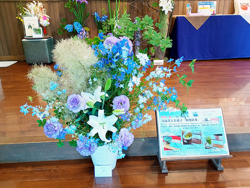 肥後細川庭園 四季を楽しむ 東京庭園 日本庭園 歴史散策 東京散歩 庭園巡り 東京観光 都内散歩 おでかけ記録 文京区